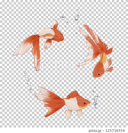 Hand drawn goldfish 125716554