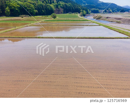 GW明けの田んぼの風景 GW明けの田んぼの風景 125716569