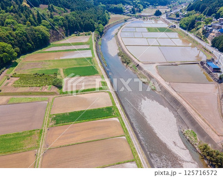 GW明けの田んぼの風景 125716572