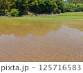 GW明けの田んぼの風景 125716583