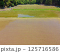 GW明けの田んぼの風景 125716586