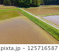GW明けの田んぼの風景 125716587