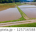 GW明けの田んぼの風景 125716588