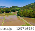 GW明けの田んぼの風景 125716589