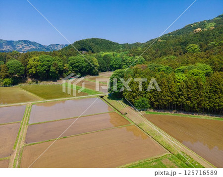 GW明けの田んぼの風景 GW明けの田んぼの風景 125716589