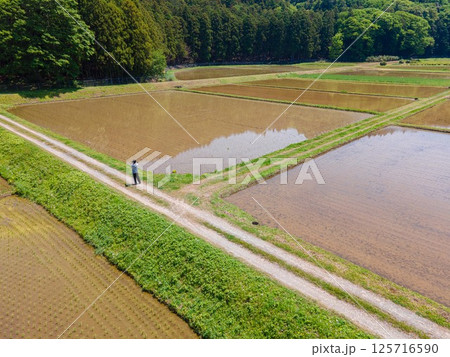 GW明けの田んぼの風景 GW明けの田んぼの風景 125716590