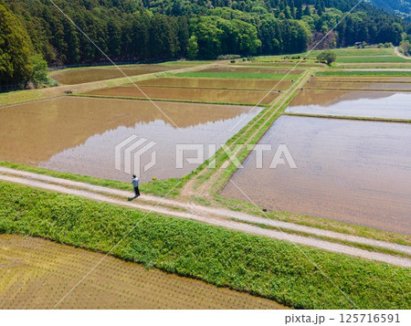 GW明けの田んぼの風景 125716591