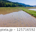 GW明けの田んぼの風景 125716592