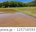 GW明けの田んぼの風景 125716593
