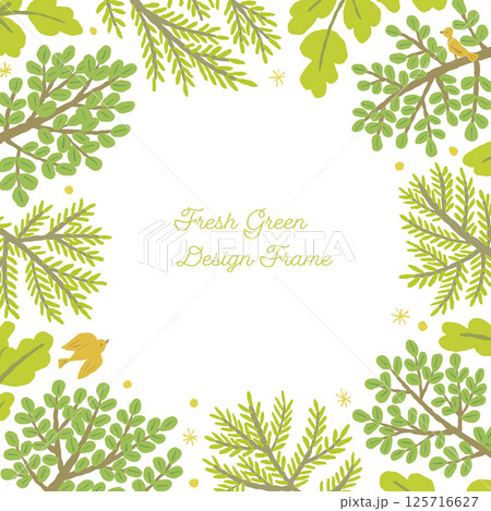 新緑のフレーム 新緑のフレーム 125716627
