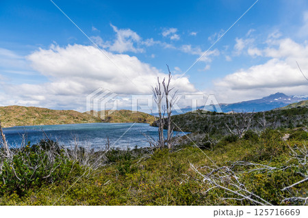 Hiking the W-Trek in Torres Del Paine Hiking the W-Trek in Torres Del Paine 125716669