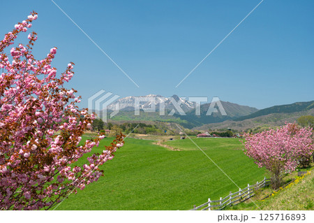 蒜山高原から眺める春の大山のイメージ【岡山県真庭市】 125716893