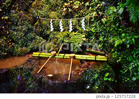 京都貴船神社　社殿前の御神水　水占みくじ　京都観光スポット 125717228