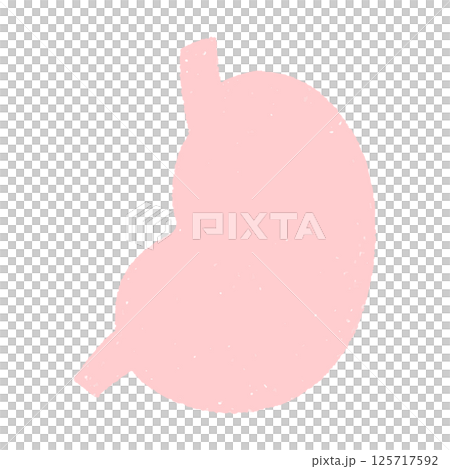 Hand drawn healthy stomach illustration 125717592