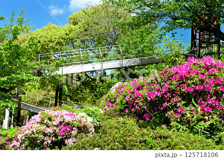 五月山 つつじとすべり台 五月山 つつじとすべり台 125718106