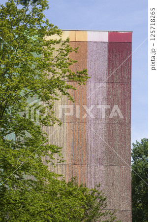 Colorfully painted Monotones house, side view, Delmenhorst, Lower Saxony, Germany Colorfully painted Monotones house, side view, Delmenhorst, Lower Saxony, Germany 125718265