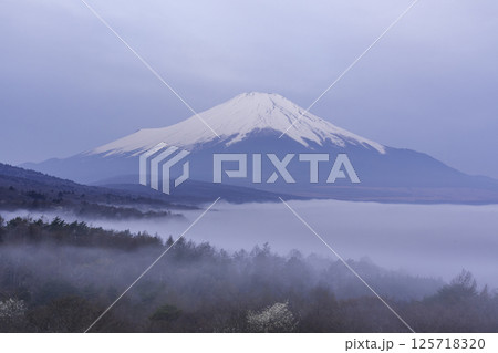 山中湖パノラマ台から雲海に浮かぶ富士山 山中湖パノラマ台から雲海に浮かぶ富士山 125718320