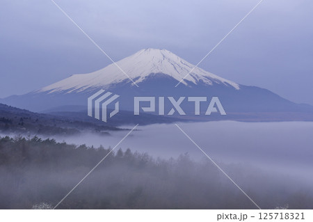 山中湖パノラマ台から雲海に浮かぶ富士山 125718321