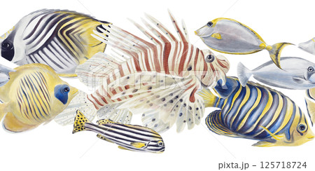 Seamless border with tropical fish. Exotic sea creatures. Lion, surgeon, elephant. Striped and colored fish. Watercolor illustration isolated from background. Hand drawn. High quality illustration 125718724