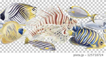 Seamless border with tropical fish. Exotic sea creatures. Lion, surgeon, elephant. Striped and colored fish. Watercolor illustration isolated from background. Hand drawn. High quality illustration Seamless border with tropical fish. Exotic sea creatures. Lion, surgeon, elephant. Striped and colored fish. Watercolor illustration isolated from background. Hand drawn. High quality illustration 125718724