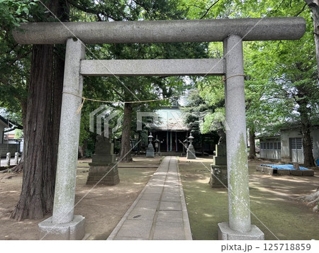 東京都三鷹市の神社、牟礼神明社の灰色の鳥居と先に見える拝殿です。 125718859