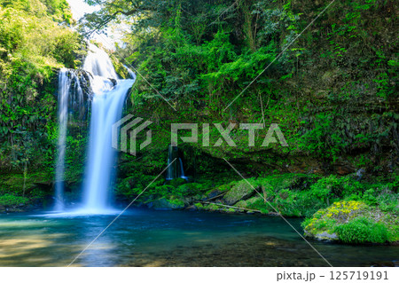 初夏の慈恩の滝 大分県玖珠郡 初夏の慈恩の滝 大分県玖珠郡 125719191