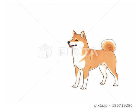 柴犬 125719280