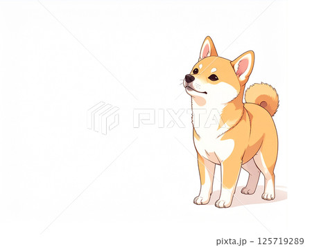 柴犬 柴犬 125719289