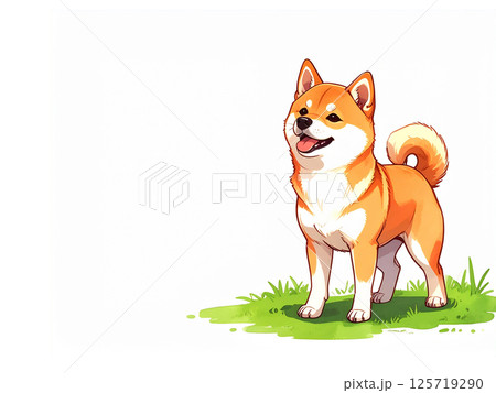 柴犬 125719290
