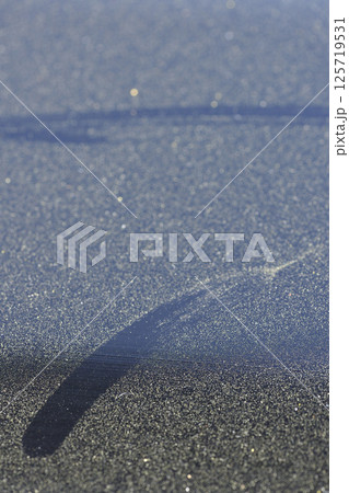 ベランダの手すりに付いた花粉 125719531