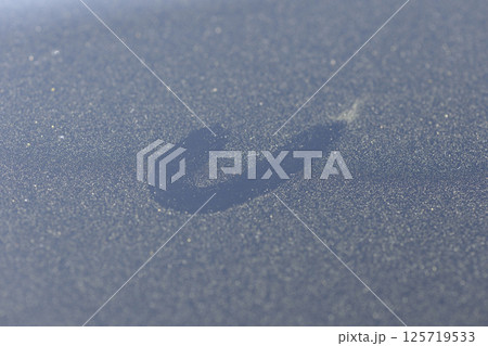 ベランダの手すりに付いた花粉 ベランダの手すりに付いた花粉 125719533