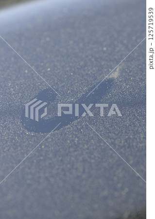 ベランダの手すりに付いた花粉 ベランダの手すりに付いた花粉 125719539