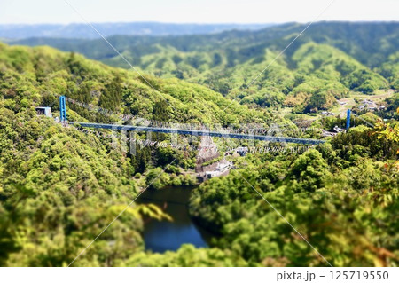 ミニチュア風の竜神大吊橋 ミニチュア風の竜神大吊橋 125719550