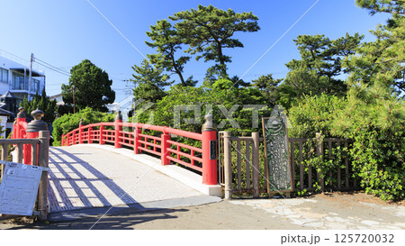 森戸海岸の春 125720032