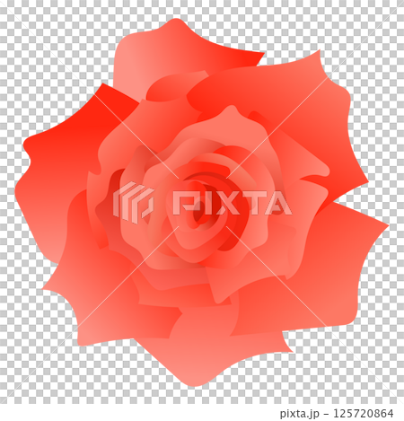 紅玫瑰向量圖素材 125720864