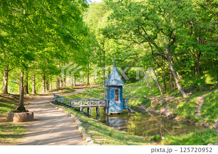 新緑のムーミン谷 新緑のムーミン谷 125720952