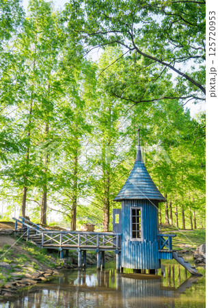 新緑のムーミン谷 125720953