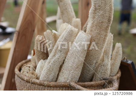 たくさんのへちまたわし 125720986
