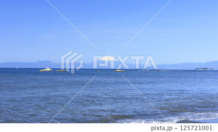 長者ヶ崎の春 125721001