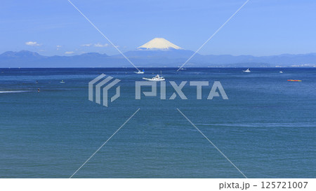 長者ヶ崎の春 125721007