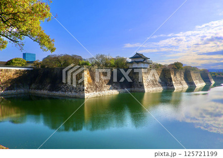 大阪城・外堀と城郭（大阪府・大阪市） 125721199