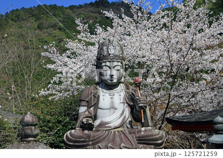 壺阪寺のめがね供養観音 125721259