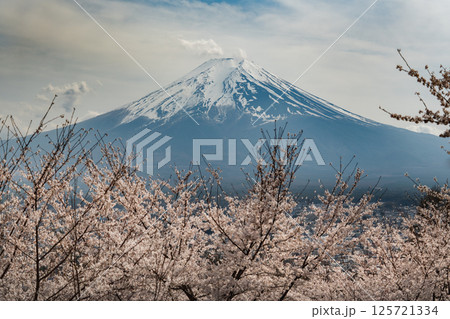 日本の四季 日本の四季 125721334