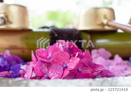 色鮮やかな紫陽花の花手水 色鮮やかな紫陽花の花手水 125721419