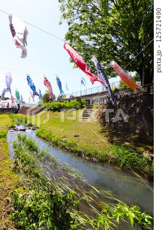 鯉のぼりのある風景(神奈川県横浜市戸塚区舞岡町) 鯉のぼりのある風景(神奈川県横浜市戸塚区舞岡町) 125721490