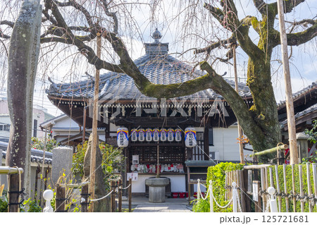 京都　地蔵院椿寺　地蔵堂 125721681