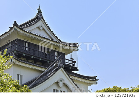 岡崎城天守（北面） 125721938