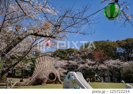 東光山公園の桜の風景（出水市） 125722254