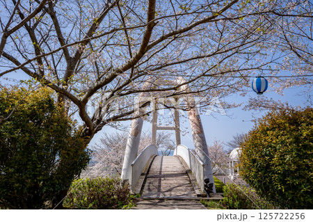 東光山公園の桜の風景（出水市） 125722256