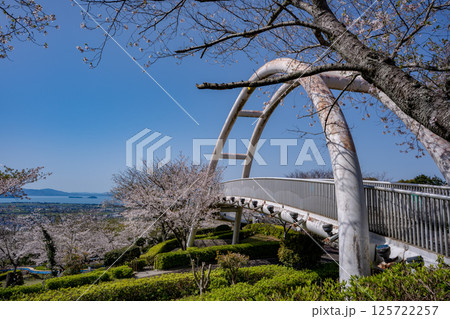 東光山公園の桜の風景（出水市） 125722257